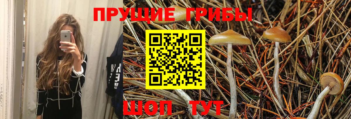 где можно купить   Псилоцибиновые грибы Magic Shrooms  Вход с VPN  Крымск 